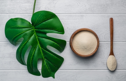 Colágeno vegano existe?