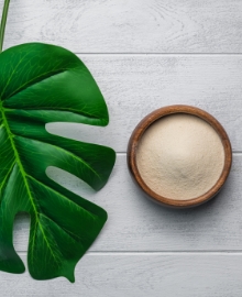 Colágeno vegano existe?