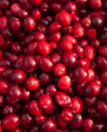Cranberry