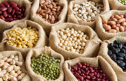 tipos-de-proteinas-vegetais