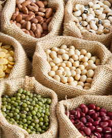 tipos-de-proteinas-vegetais