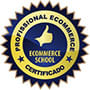 Profissional E-commerce